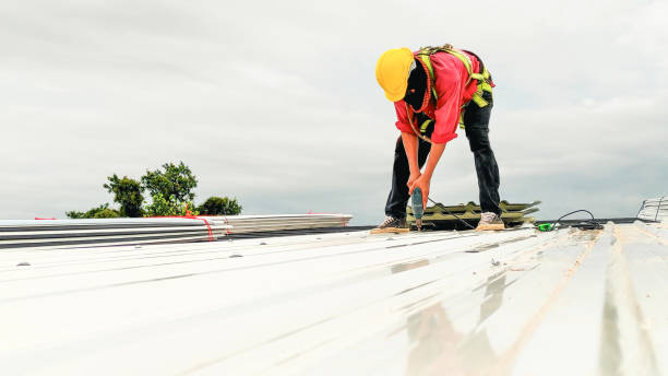 Professional Roofing Services in Coshocton, OH